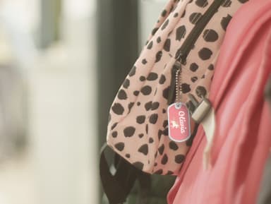 Zestaw Back2School XXL