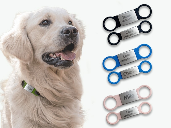 Personalizowany identyfikator dla psów i kotów