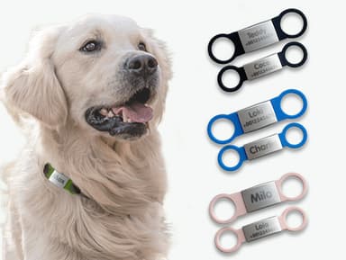 Personalizowany identyfikator dla psów i kotów